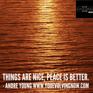 Things are nice. Peace is Better - Andre Young