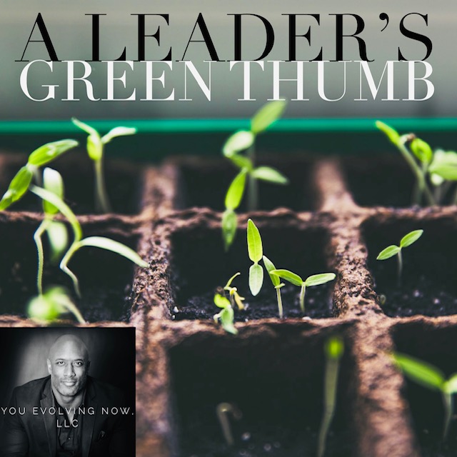 a leader's green thumb how to seed, weed, and lead