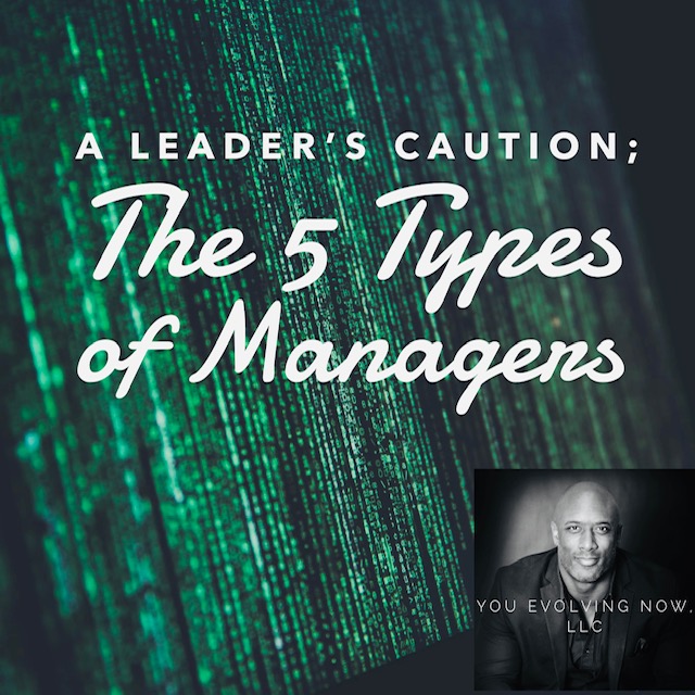 A Leader's Caution - The 5 Types of Managers as discussed with You Evolving Now